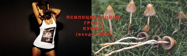 соль ск Краснослободск