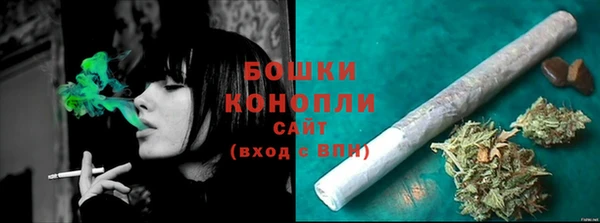 прущие грибы Красноперекопск