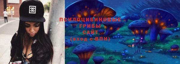 соль ск Краснослободск