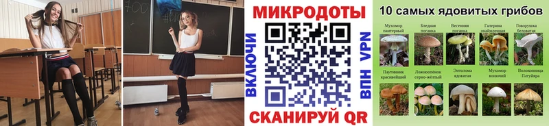 Купить закладки  Кондрово  Галлюциногенные грибы Magic Shrooms 