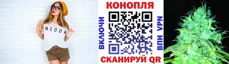 Бошки Шишки MAZAR  Купить закладки  Кондрово 